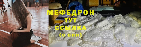 прущие грибы Богданович