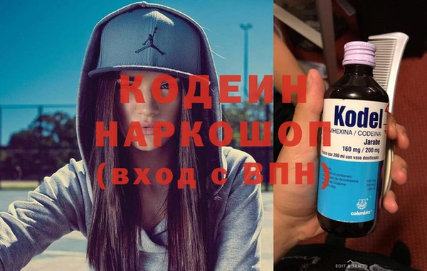 прущие грибы Богданович