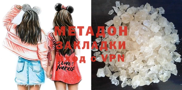 прущие грибы Богданович
