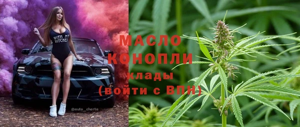 mix Богородицк