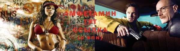 прущие грибы Богданович