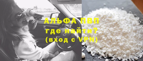 прущие грибы Богданович