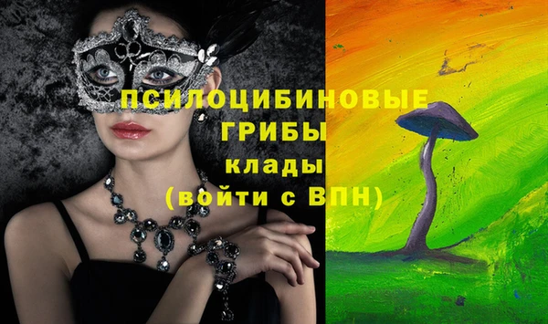 ешки Богородск